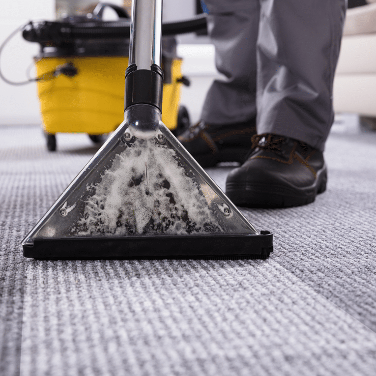 Carpet cleaning on gray carpet