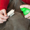 Home 5 Ever/ready carpet cleaning inc. Upholstery-cleaning-services